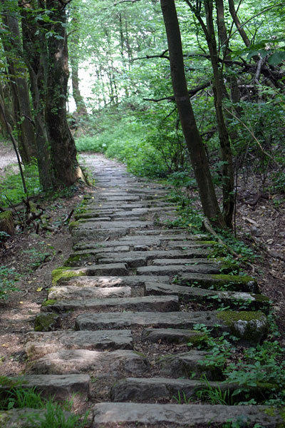 The road up