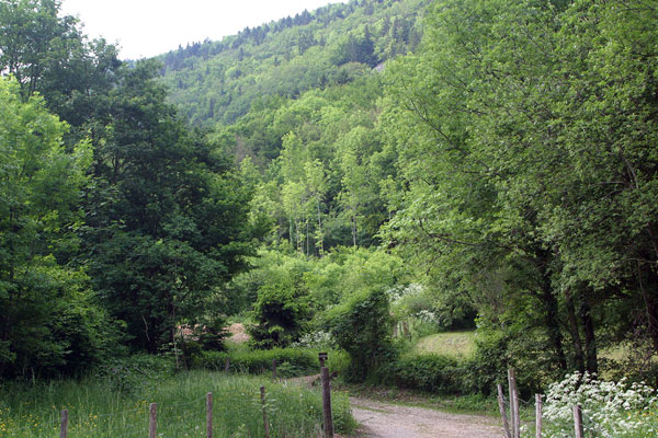 France is just so pretty!