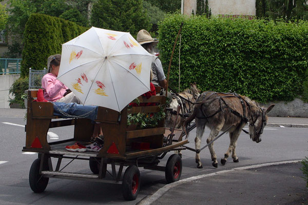 Carriage