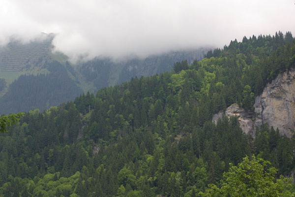 Mountains