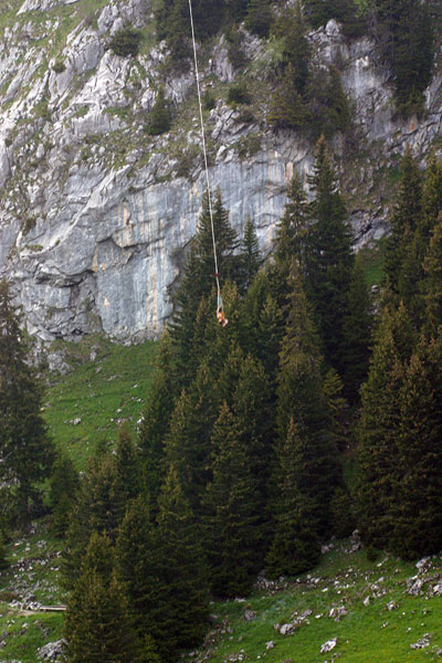 Just hanging...