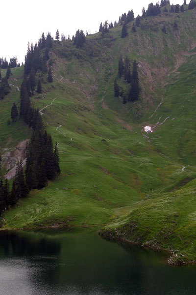 The Alps