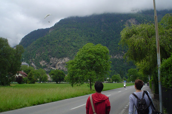 Paraglider