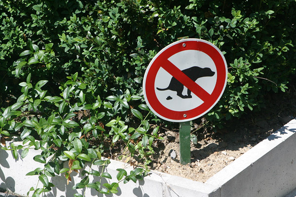 Doggy sign