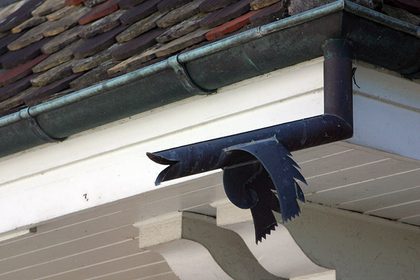 Gutter-fish