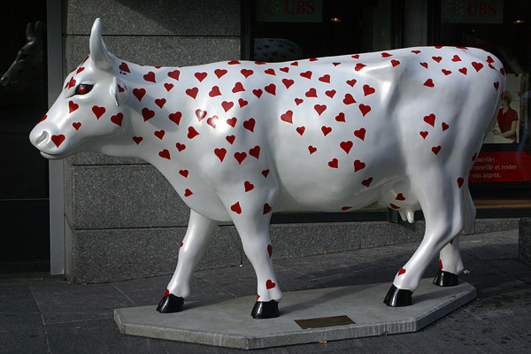 Cow #1