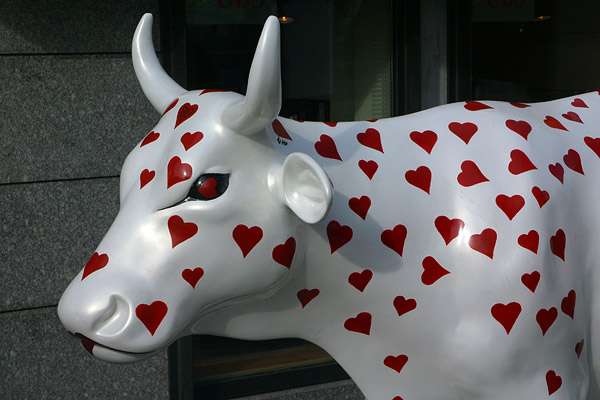 Cow #1