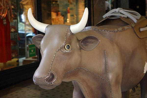 Cow #3