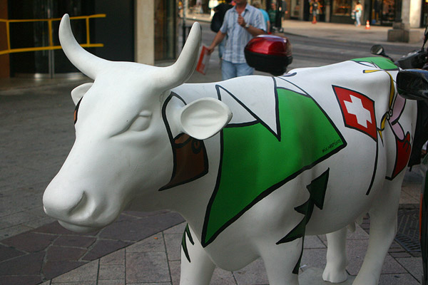 Cow #4