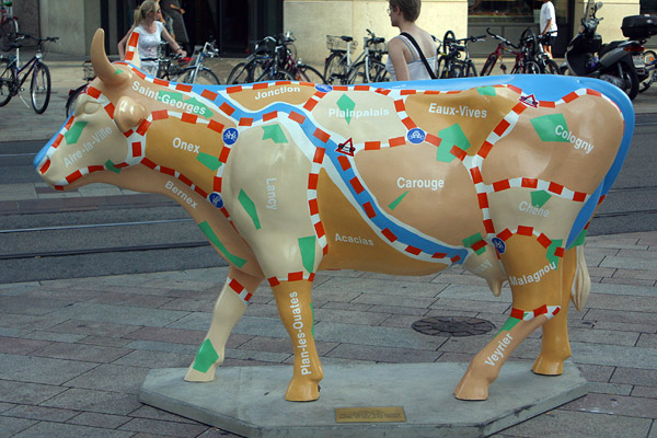 Cow #5
