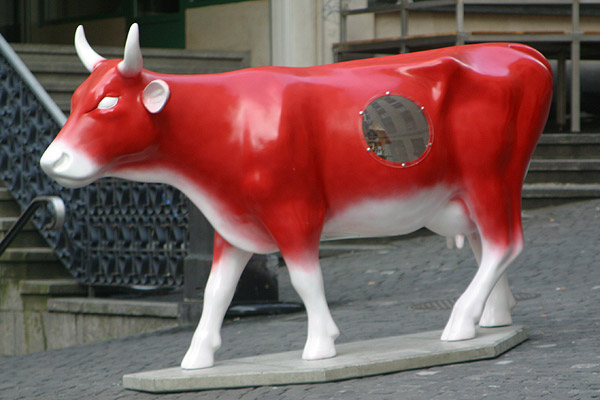 Cow #6