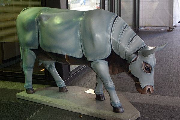 Cow #8