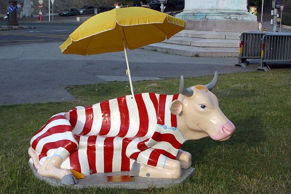 Cow #22