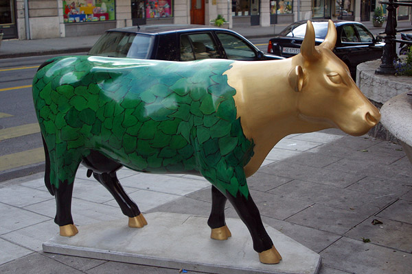 Cow #23