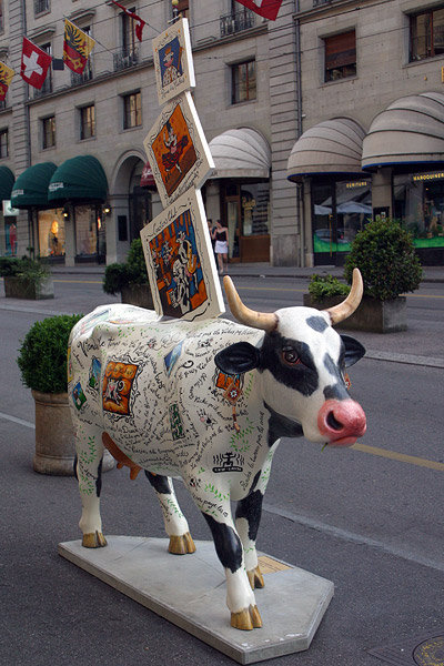 Cow #25