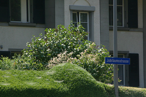Jubiläumsstrasse