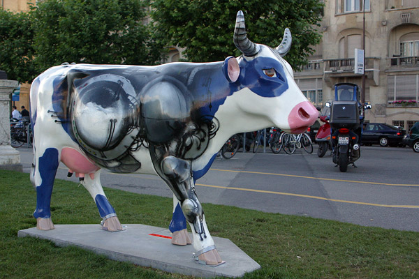 Cow #28