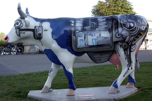 Cow #28
