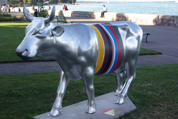 Cow #30