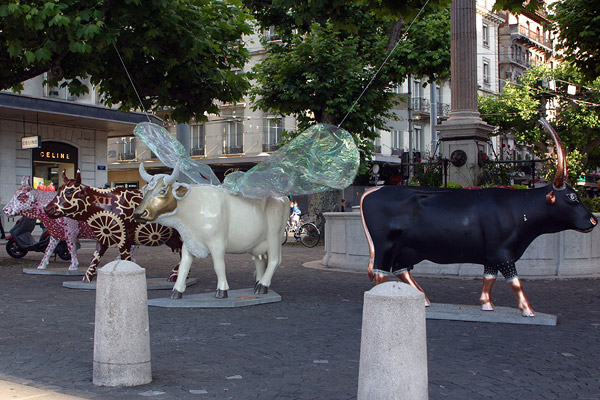 Four cows