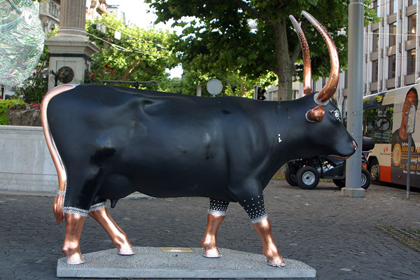 Cow #35