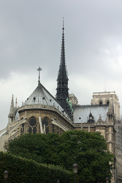 Notre Dame from the back