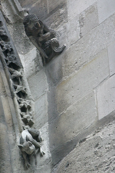 Notre Dame creatures: toad & mermaid