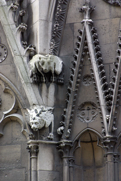 Notre Dame creatures: melapide