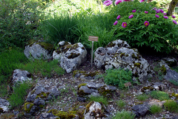 Jardin Botanique