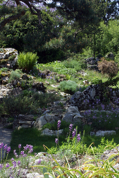 Jardin Botanique