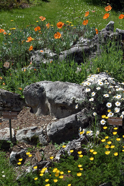 Jardin Botanique