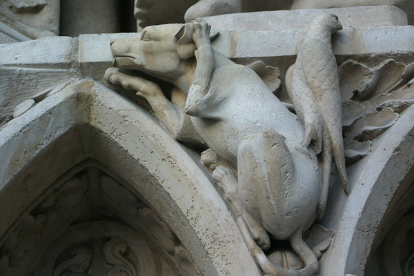 Notre Dame creatures: doggie