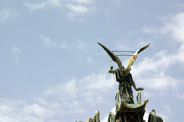 Wings