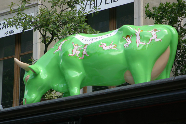 Cow #39