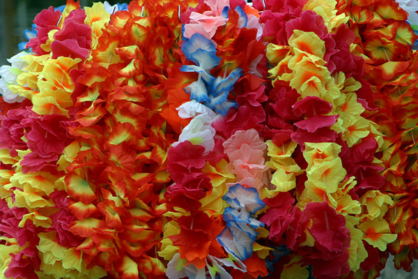 Flowers!