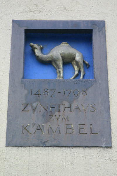 Mr. Camel